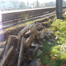 DSCN8084_JPG-1353460516