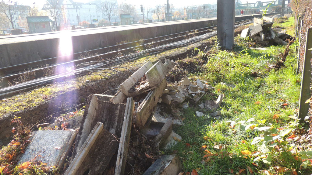 DSCN8084_JPG-1353460516