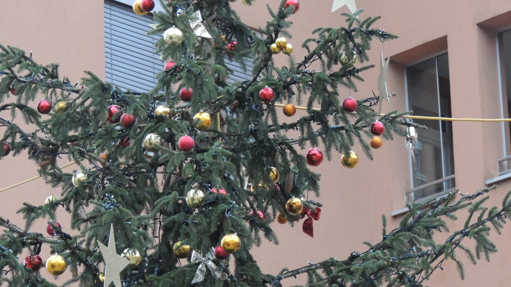 DSCN8246_JPG-1353461109