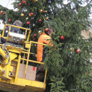 DSCN8359_JPG-1353461113