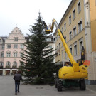 DSCN8501_JPG-1353461130