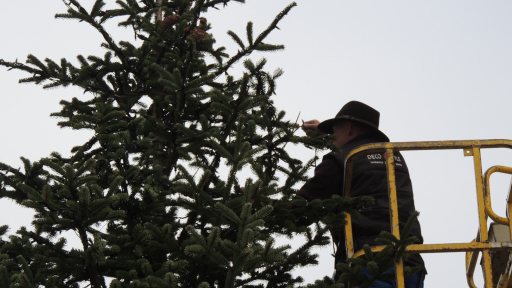 DSCN8505_JPG-1353461134