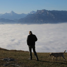 Sonnenschein am Gaisberg