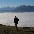 Wetter00320121120.jpg