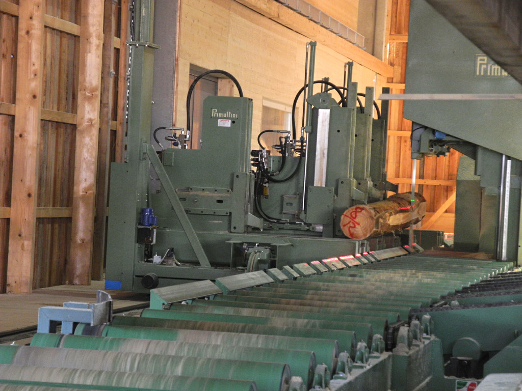 DSCN7673_JPG-1353488478