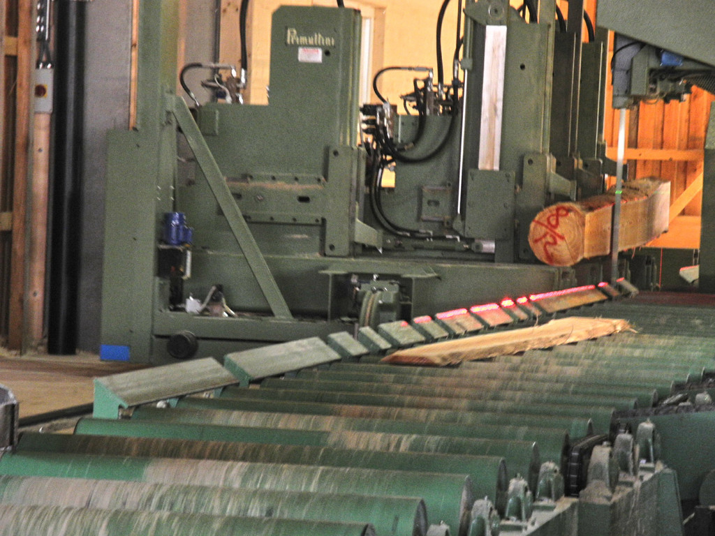 DSCN7674_JPG-1353488496