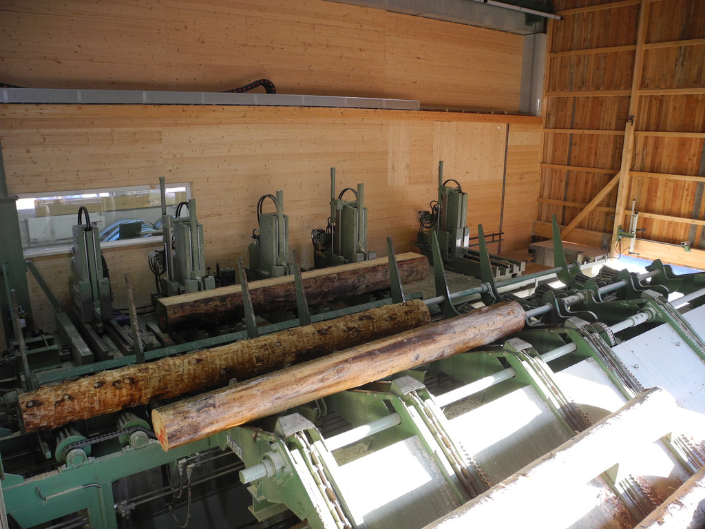 DSCN7663_JPG-1353488384