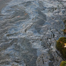DSC_0005.JPG