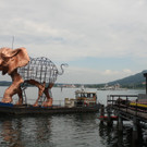 IMG_1153.jpg
