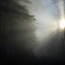 _21112012nebelsonneat05001aktivnews_21.JPG