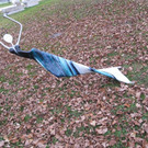 Rosa-2012-11-20-in-Schr__gla.jpg