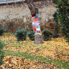 IMG_7247.JPG