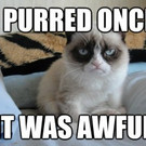 Tard, the grumpy cat: Die besten Memes