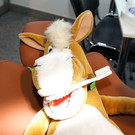 normal_22112012fmt_bim_mw_005.JPG