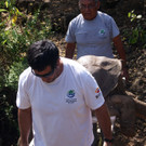 DAB0383-20120625.jpg