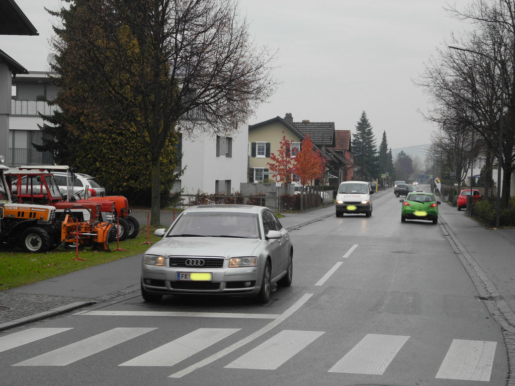 DSCN7794_JPG-1353596162