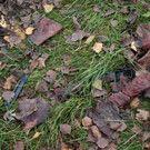 Mehr Pics der Unfallstelle