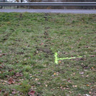 21112012vuseewalchenat02009aktivnews07.JPG