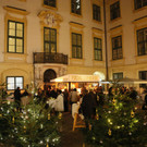 punsch052.jpg