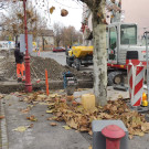 DSCN9250_JPG-1353630437