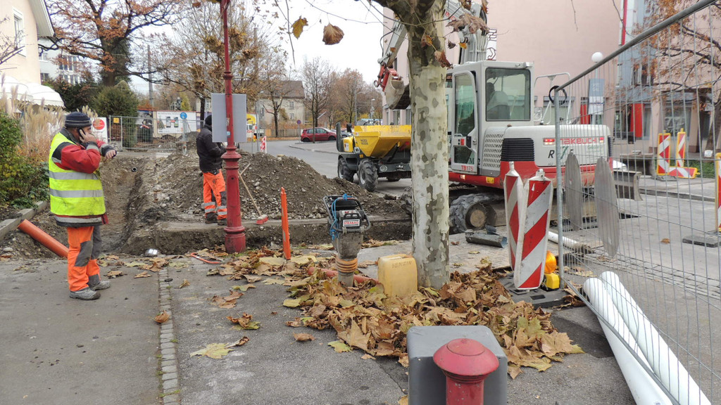 DSCN9250_JPG-1353630437