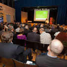 IMG_9836_1.jpg