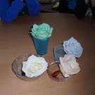 PB190272_JPG-1353652121