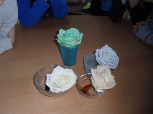 PB190272_JPG-1353652121