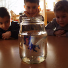 PB190242_JPG-1353652157