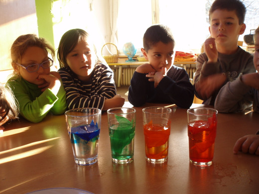 PB190250_JPG-1353652194