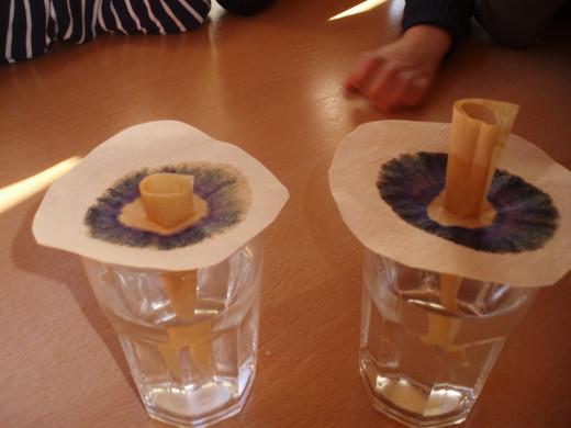 PB190254_JPG-1353652233