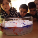 PB190257_JPG-1353652269