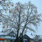 Adventmärktle