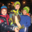 grilla_jpg 166_jpg-1353665934