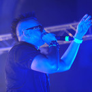 12240184.jpg