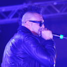 12240166.jpg