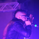 12240156.jpg