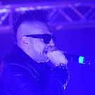 12240151.jpg