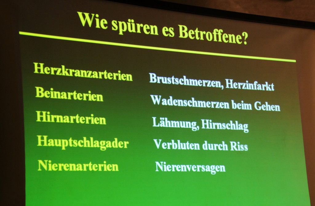 Mehrerau 20-11-2012 21_jpg-1353681848