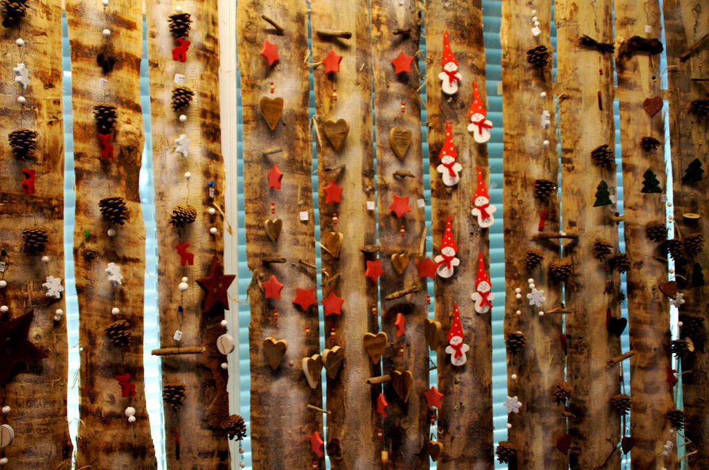 DSC09534_JPG-1353690086