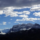 DSC02250.jpg