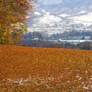 DSC04890.JPG
