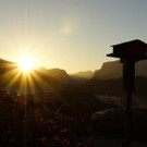DSC05130.jpg