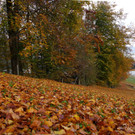 DSC04865.JPG