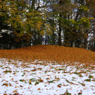 DSC04881.JPG