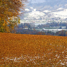 DSC04890.JPG