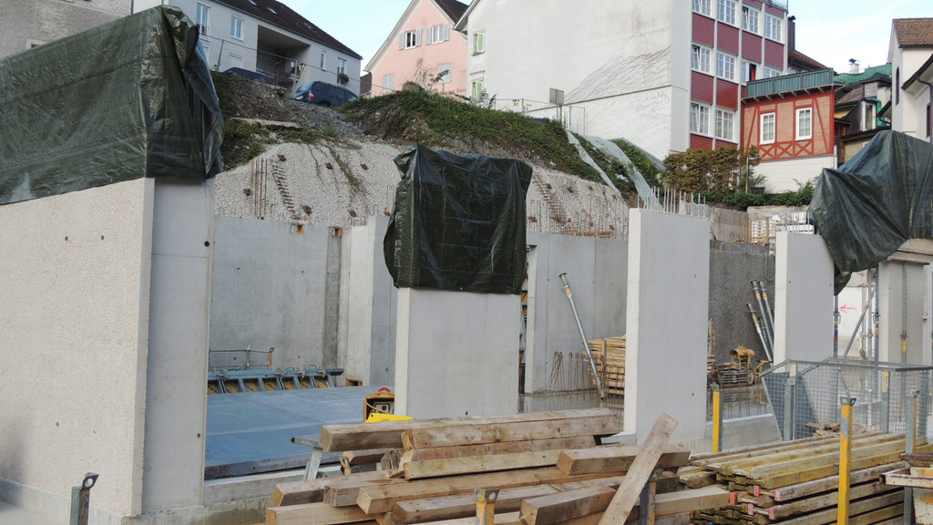 DSCN5130_JPG-1353717029