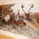 IMG_4396_jpg-1353744074