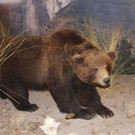 IMG_4398_jpg-1353744076