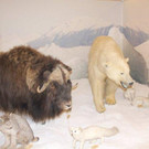 IMG_4406_jpg-1353744080